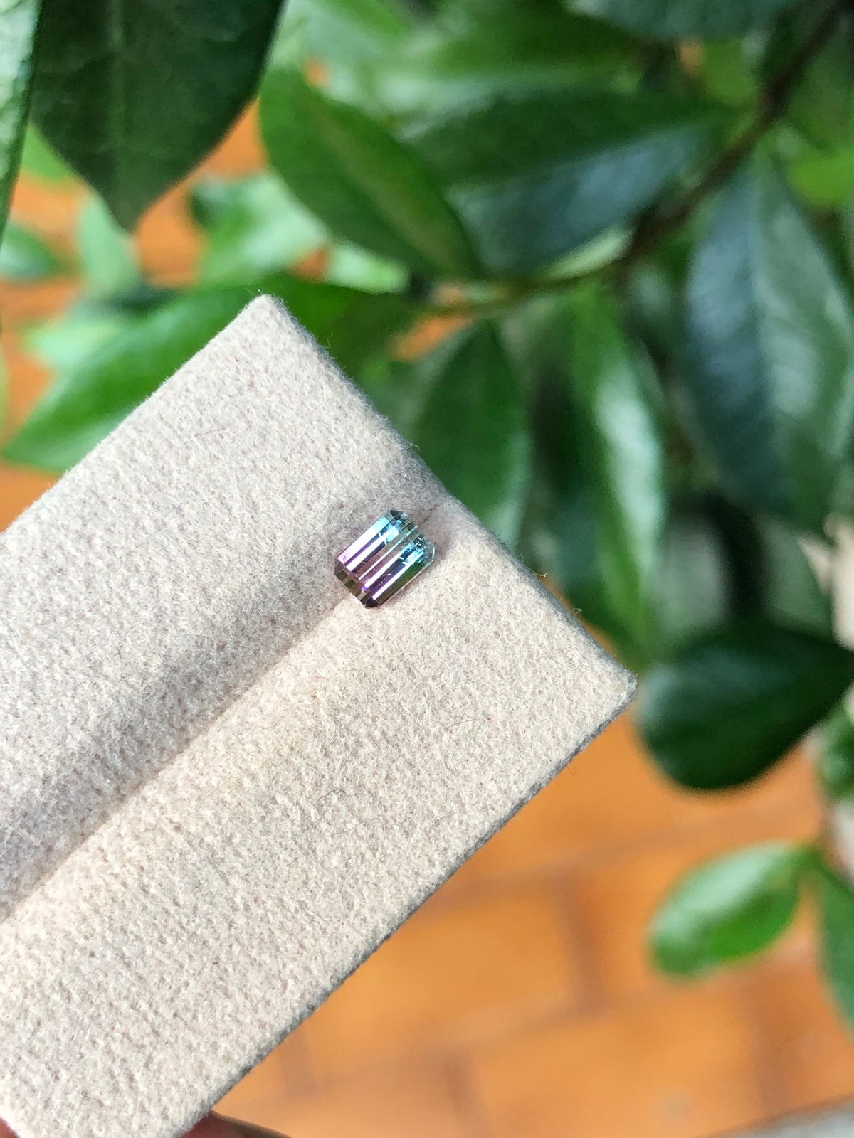Tormalina Bicolore Afghanistan 0.68 Ct.