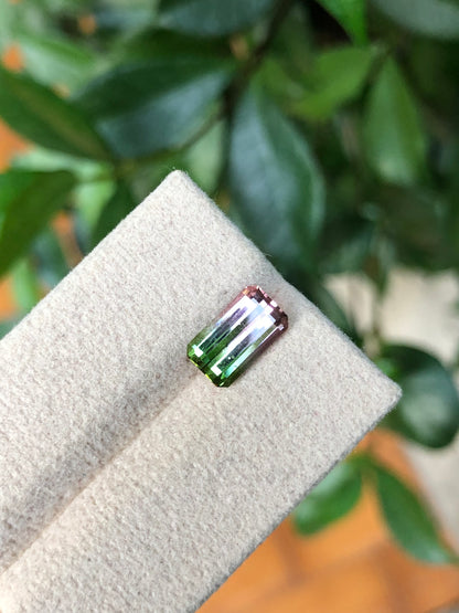 Tormalina Watermelon 2.10 Ct Afghanistan