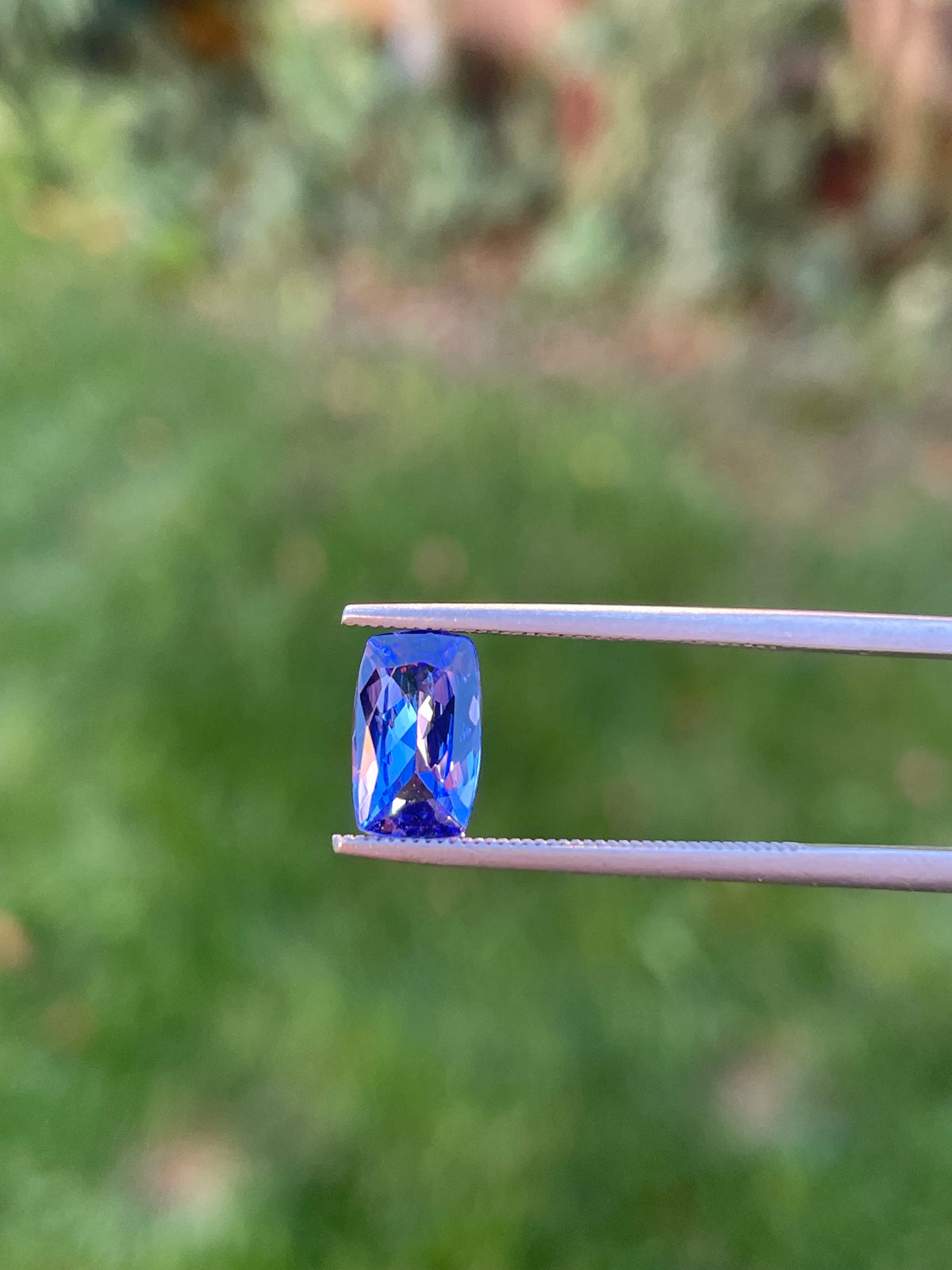 Tanzanite 1.44 Ct