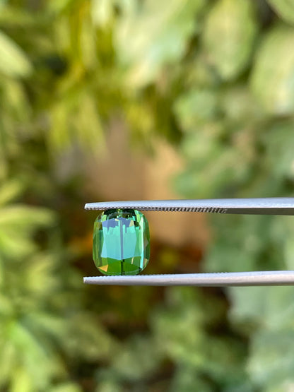 Tormalina 4.39 Ct