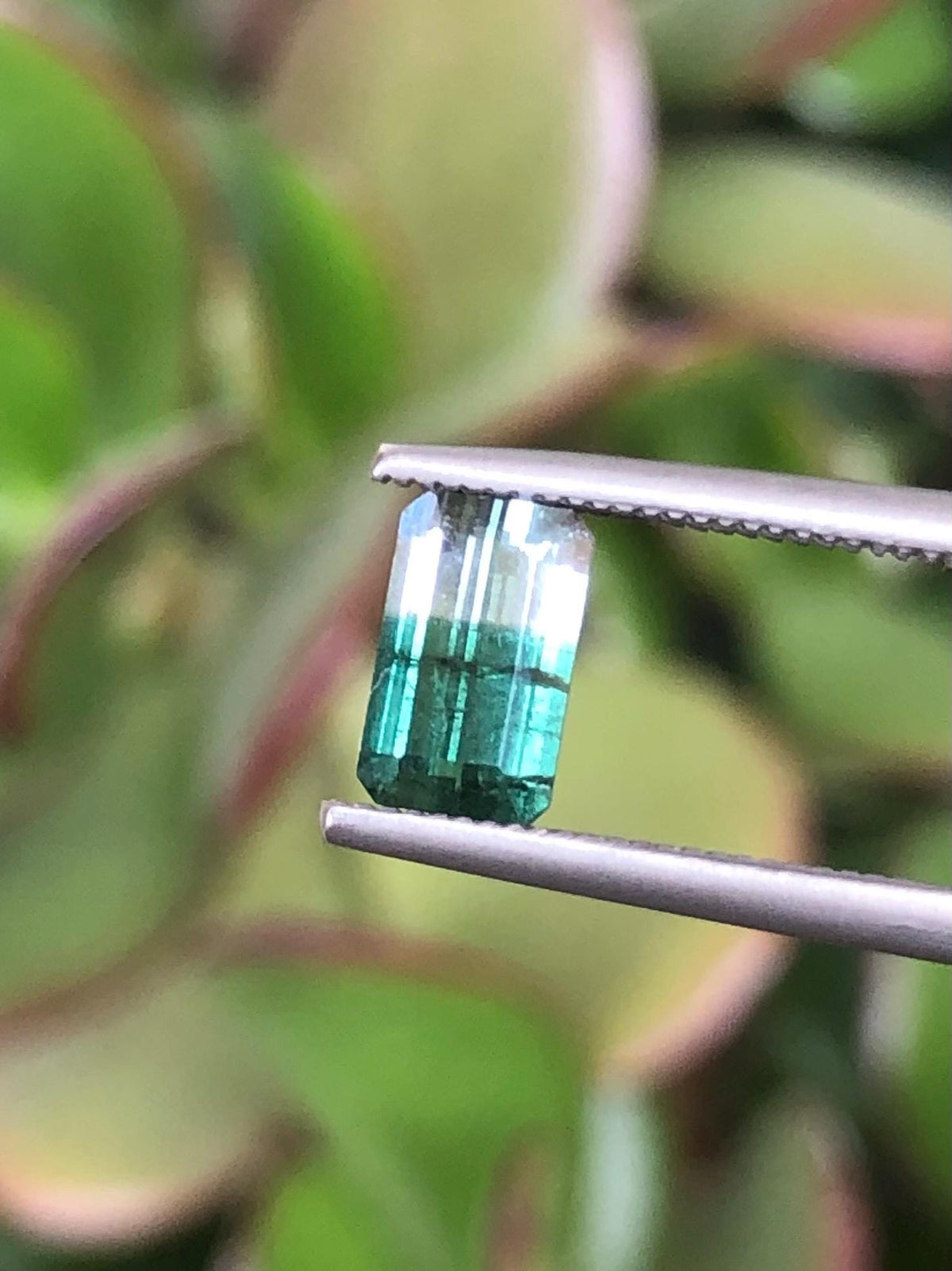 Natural Green Bicolor Tourmaline 0.63 ct, Afghanistan