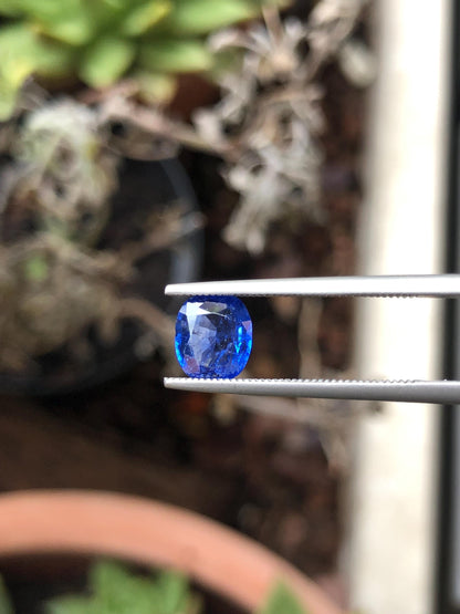 Natural Blue Sapphire 1.26 ct, Sri Lanka