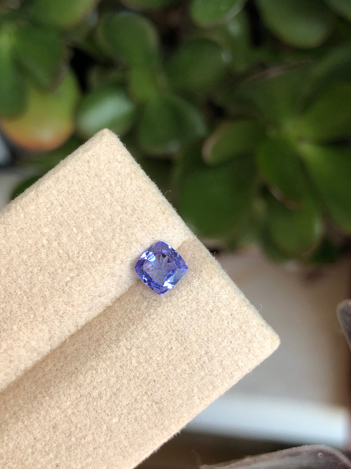 Tanzanite 0.52 Ct