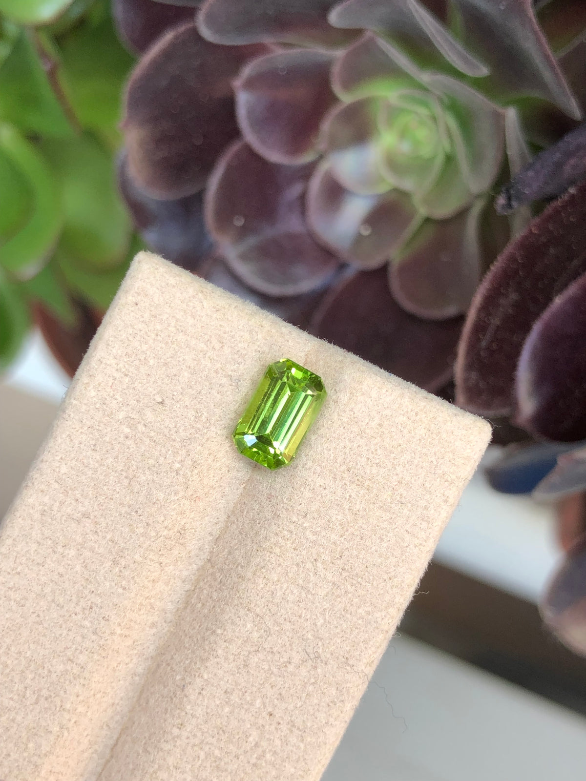 Peridoto Pakistan 1.90 Ct
