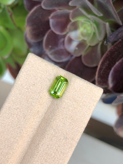 Peridoto Pakistan 1.90 Ct
