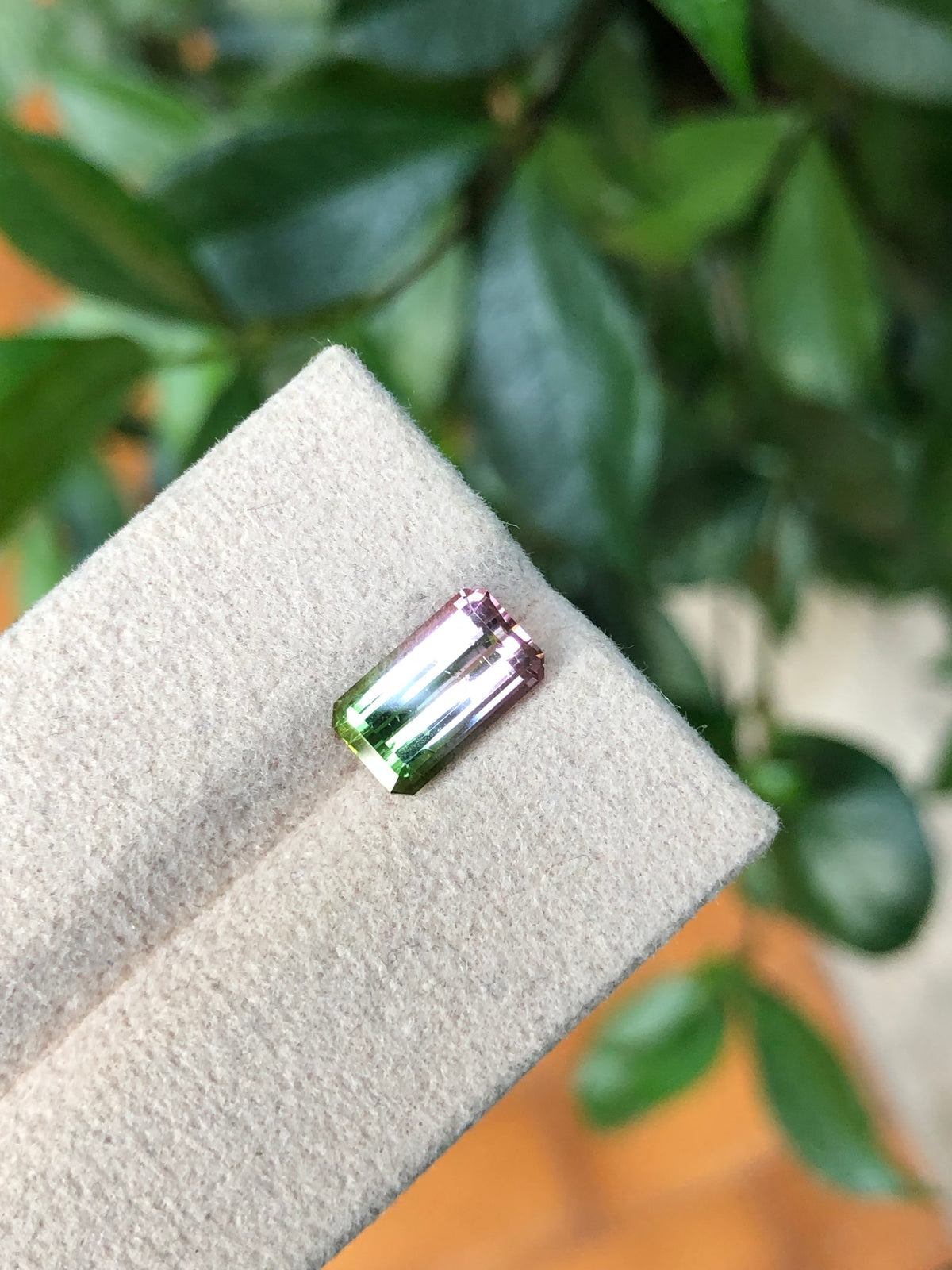 Tormalina Watermelon 2.10 Ct Afghanistan