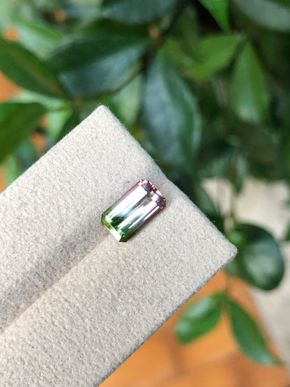 Tormalina Watermelon 2.10 Ct Afghanistan