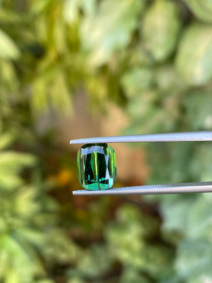 Tormalina 4.39 Ct