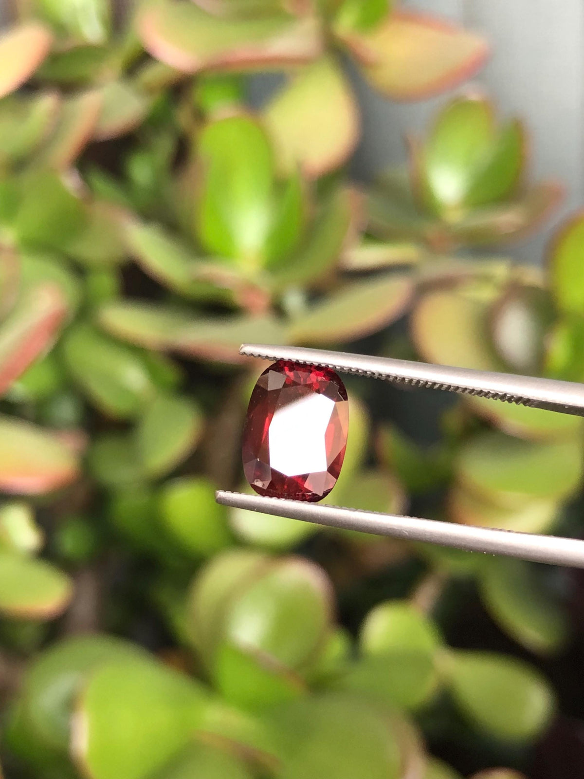 Natural Red Zircon 3.98 ct, Tanzania