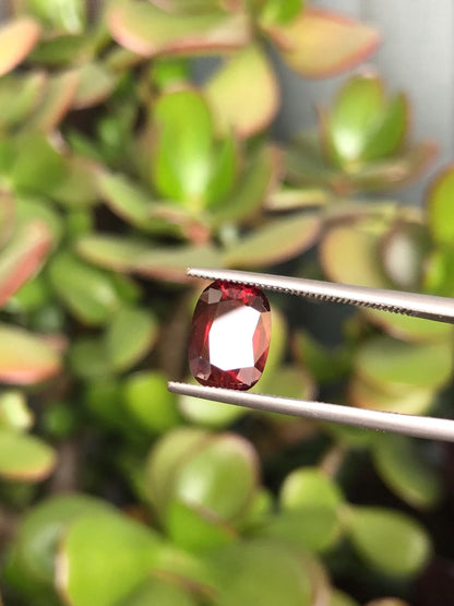 Natural Red Zircon 3.98 ct, Tanzania