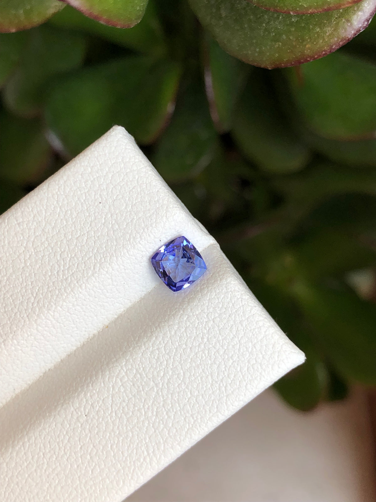 Tanzanite 0.52 Ct