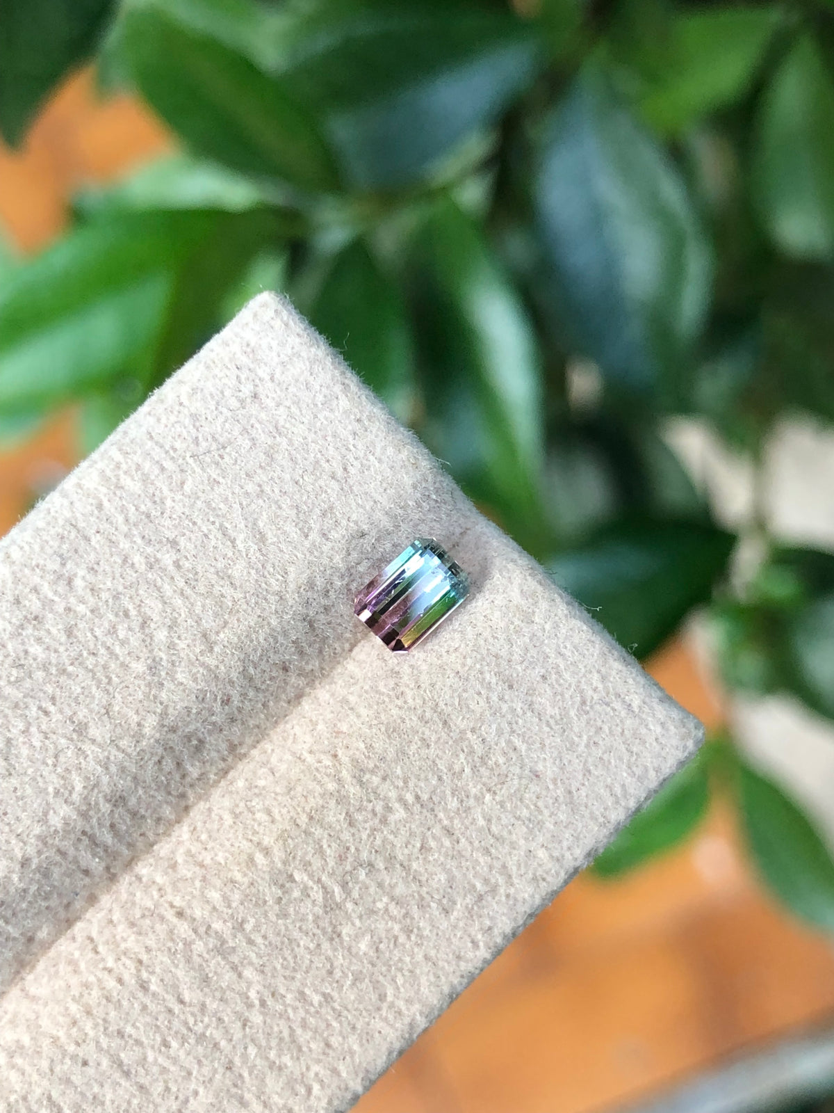Tormalina Bicolore Afghanistan 0.68 Ct.