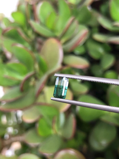 Natural Green Bicolor Tourmaline 0.63 ct, Afghanistan