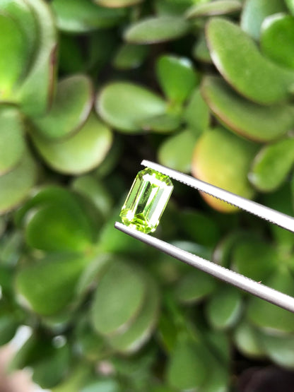 Peridoto Pakistan 1.90 Ct
