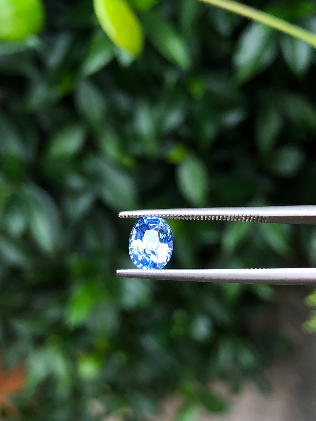 Zaffiro Ceylon 100% naturale 2.01 Ct