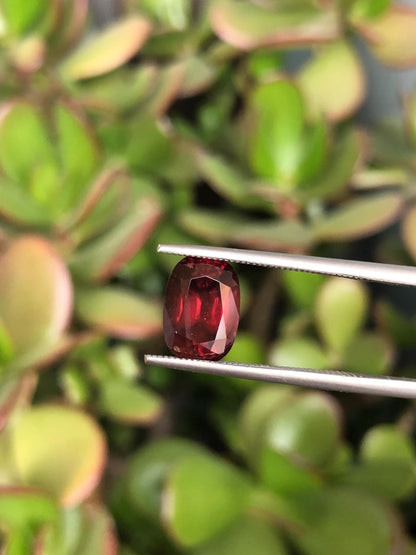 Natural Red Zircon 3.98 ct, Tanzania
