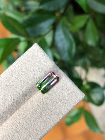 Tormalina Watermelon 2.10 Ct Afghanistan