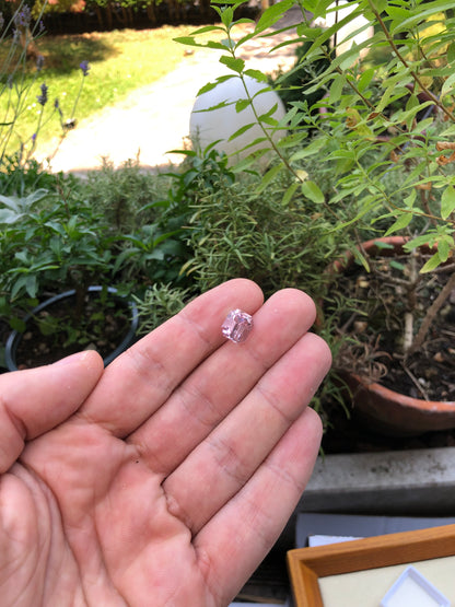 Kunzite Afghanistan 7.51 ct