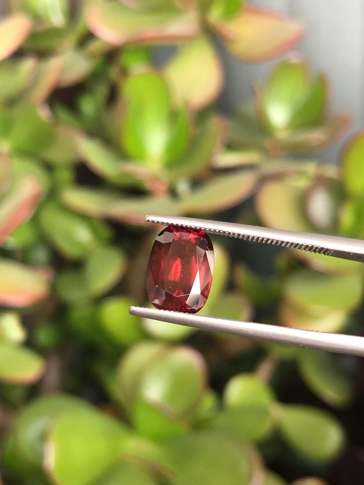 Natural Red Zircon 3.98 ct, Tanzania