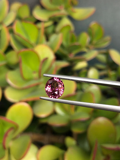 Natural Pink Malaya Garnet 2.36 ct, Tanzania