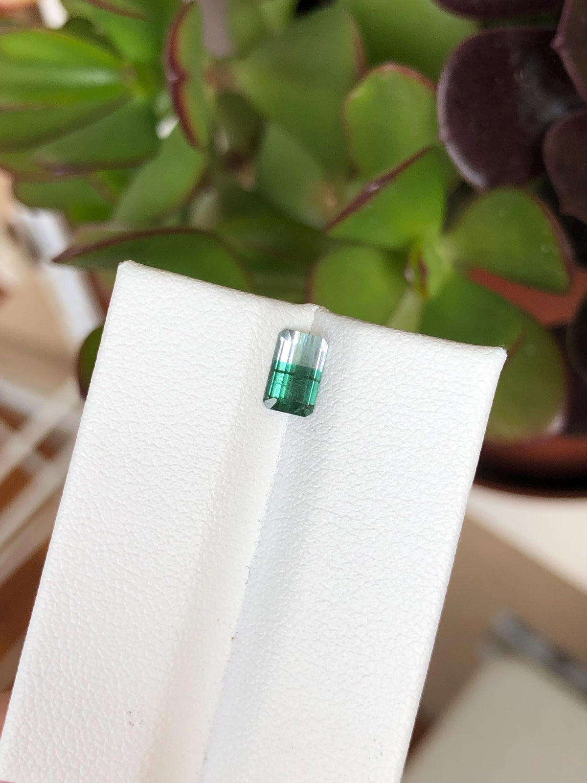Natural Green Bicolor Tourmaline 0.63 ct, Afghanistan