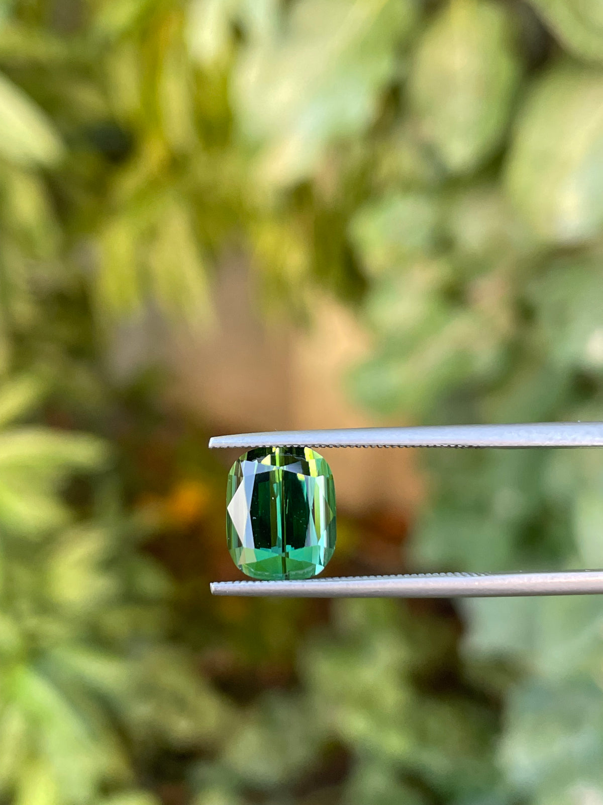 Tormalina 4.39 Ct