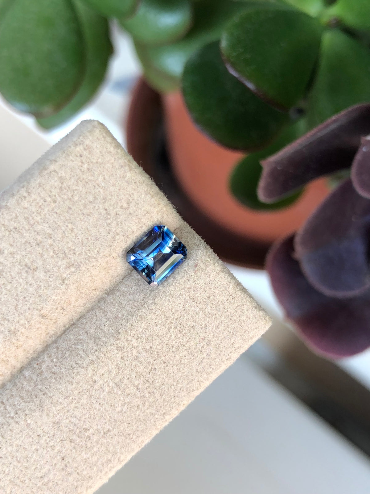Zaffiro Bicolore Sri Lanka 1.05 ct
