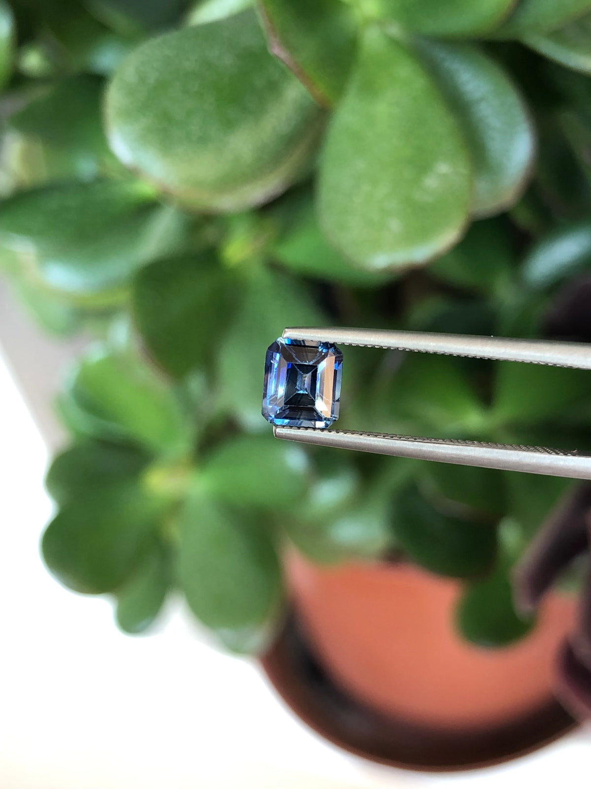 Zaffiro Bicolore Sri Lanka 1.05 ct
