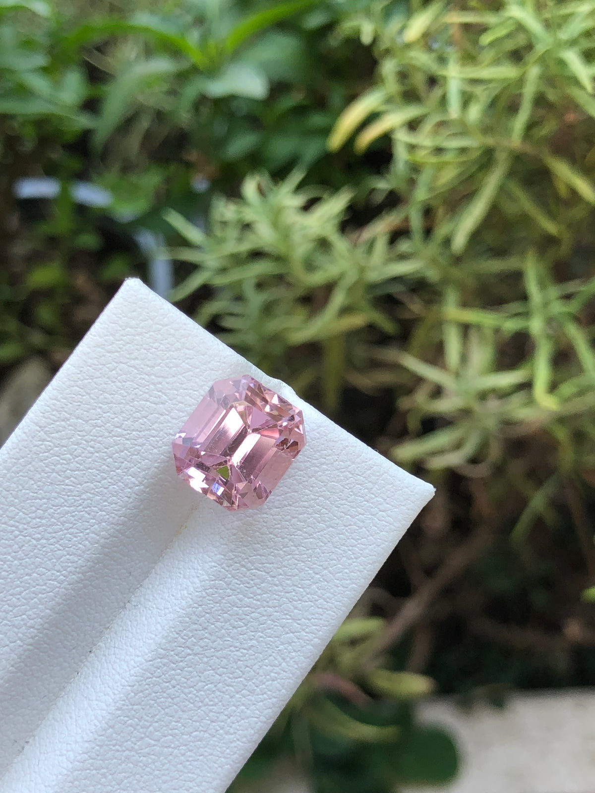 Kunzite Afghanistan 7.51 ct