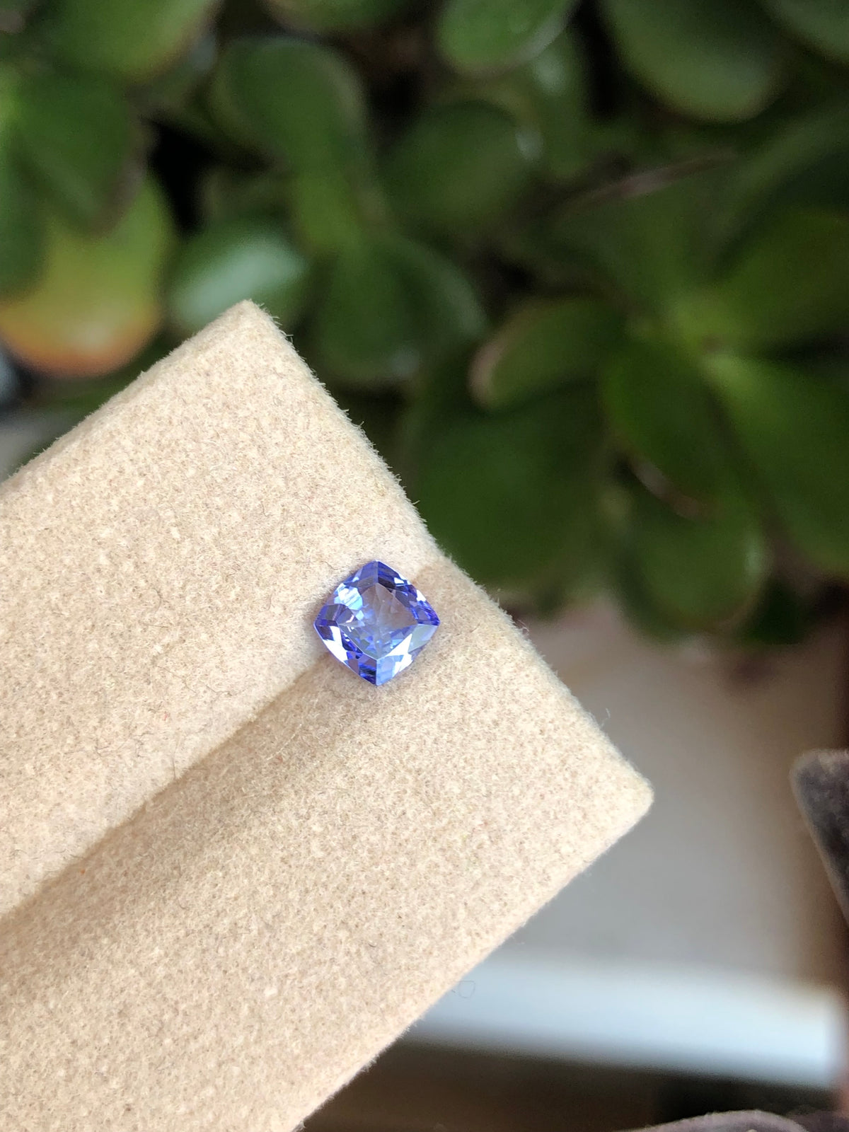 Tanzanite 0.52 Ct
