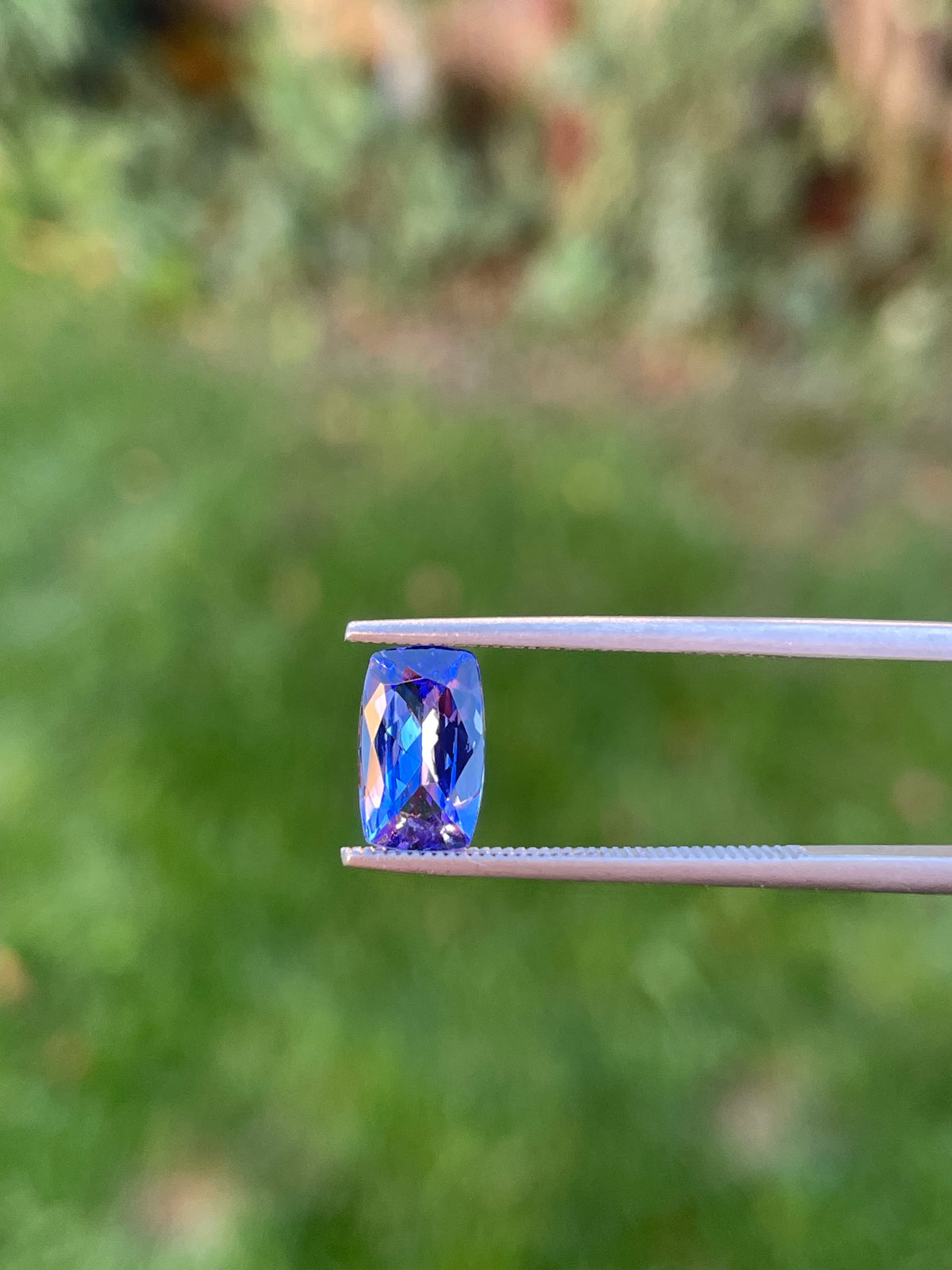 Tanzanite 1.44 Ct
