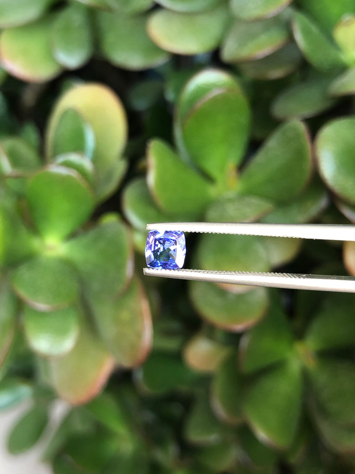 Tanzanite 0.52 Ct