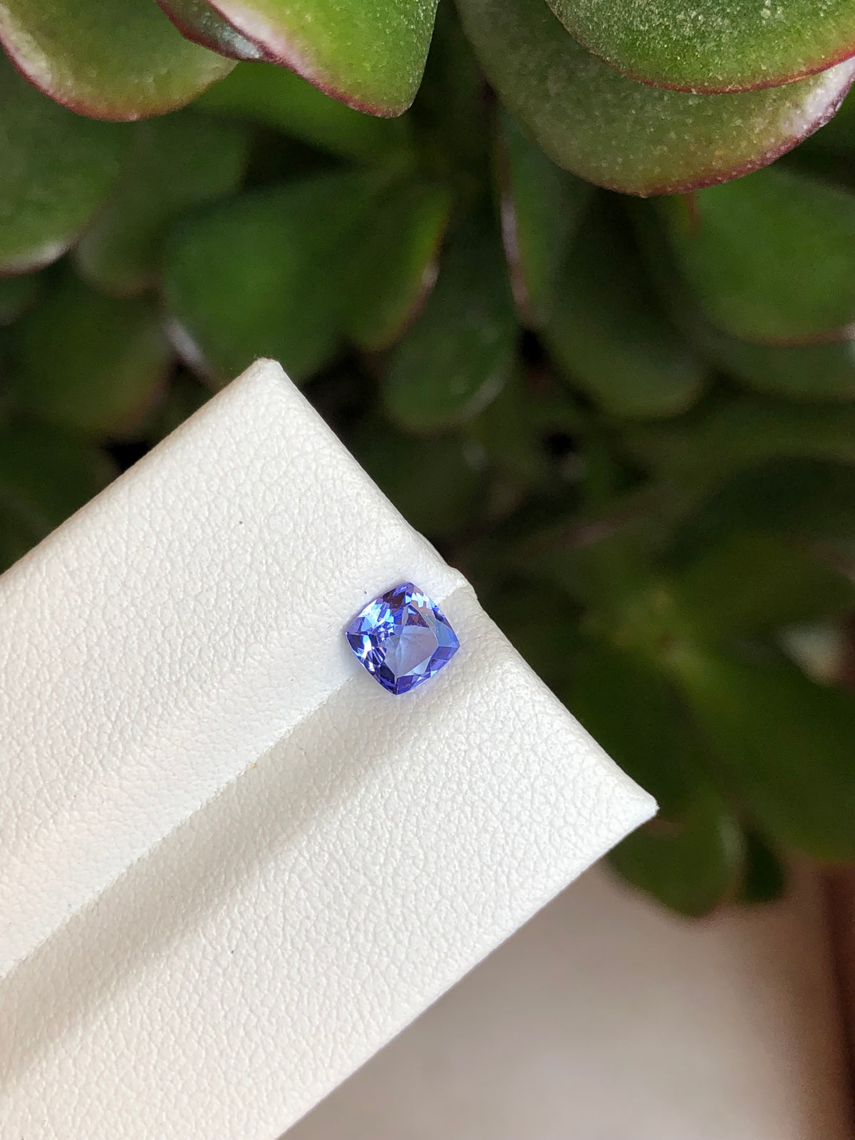 Tanzanite 0.52 Ct