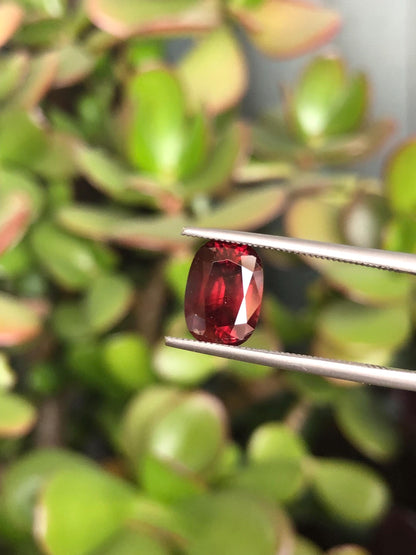 Natural Red Zircon 3.98 ct, Tanzania