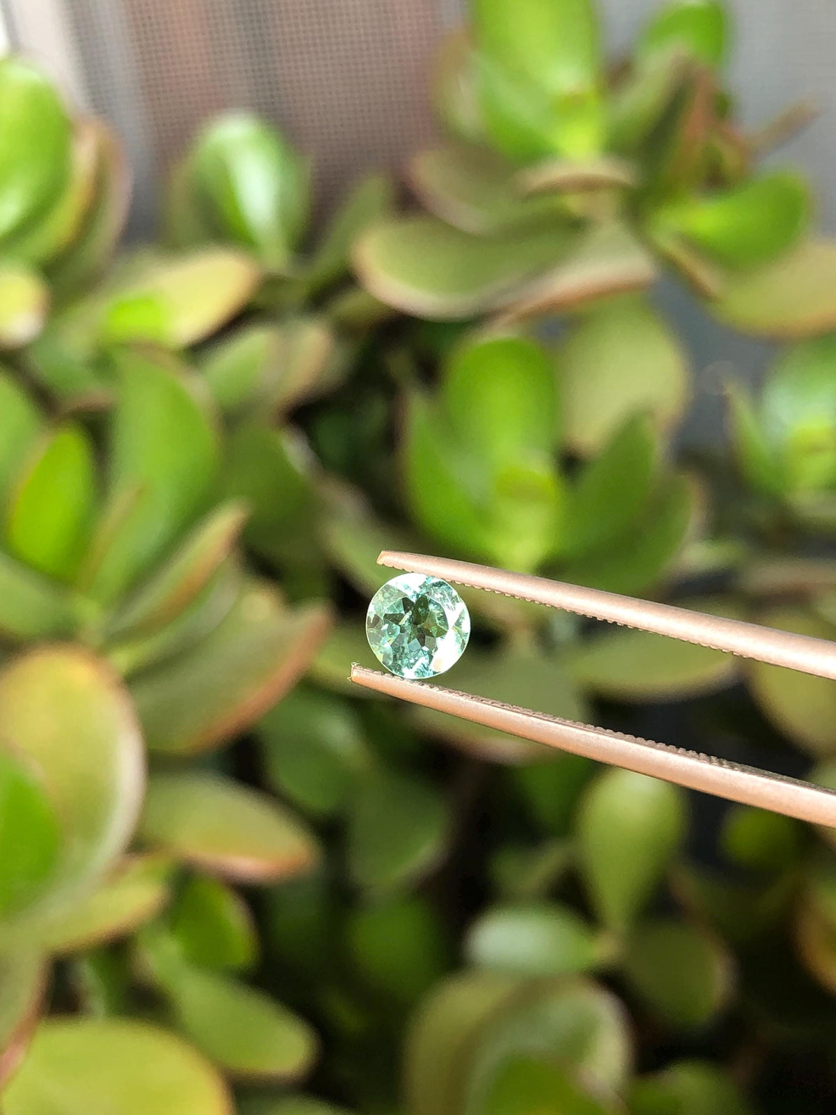 Natural Mint Green Tourmaline 0.59 ct