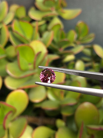Natural Pink Malaya Garnet 2.36 ct, Tanzania