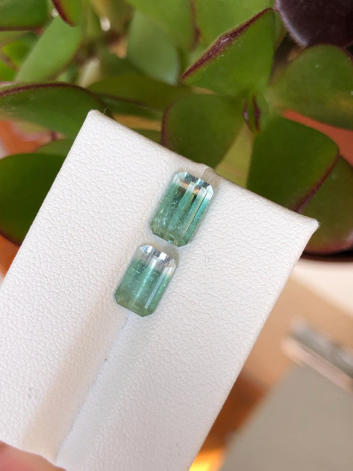 Natural Bicolor Aqua Blue Tourmaline Pair 3.57 ct