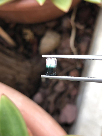 Natural Bicolor Black/White Tourmaline 0.81 ct