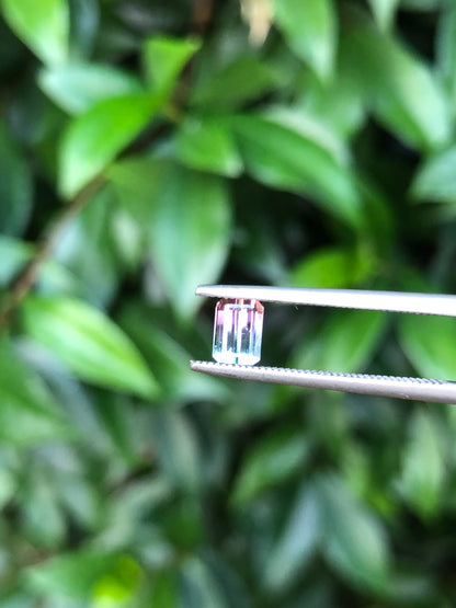Tormalina Bicolore Afghanistan 0.68 Ct.