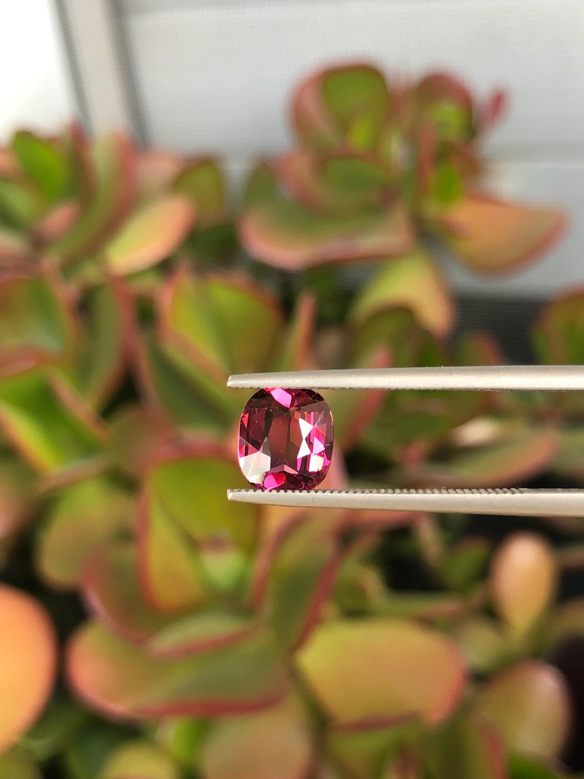 Natural Red Garnet 1.50 ct, Tanzania
