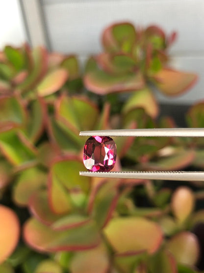 Natural Red Garnet 1.50 ct, Tanzania