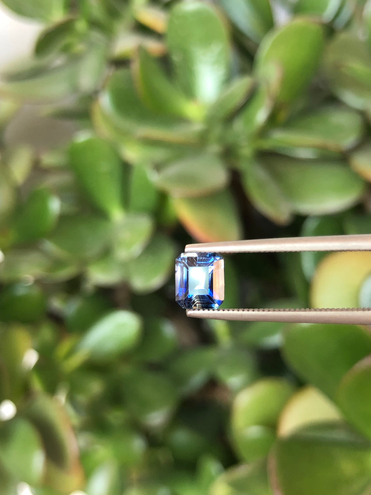 Zaffiro Bicolore Sri Lanka 1.05 ct