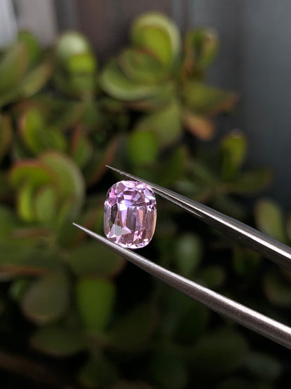 Kunzite Afghanistan 4.30 Ct