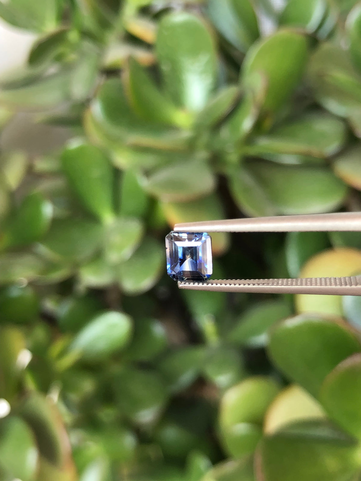 Zaffiro Bicolore Sri Lanka 1.05 ct