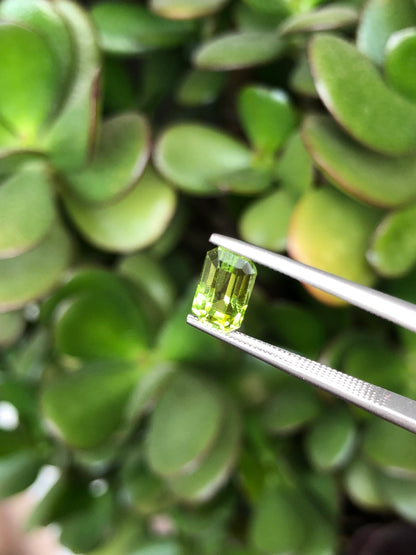 Peridoto Pakistan 1.90 Ct