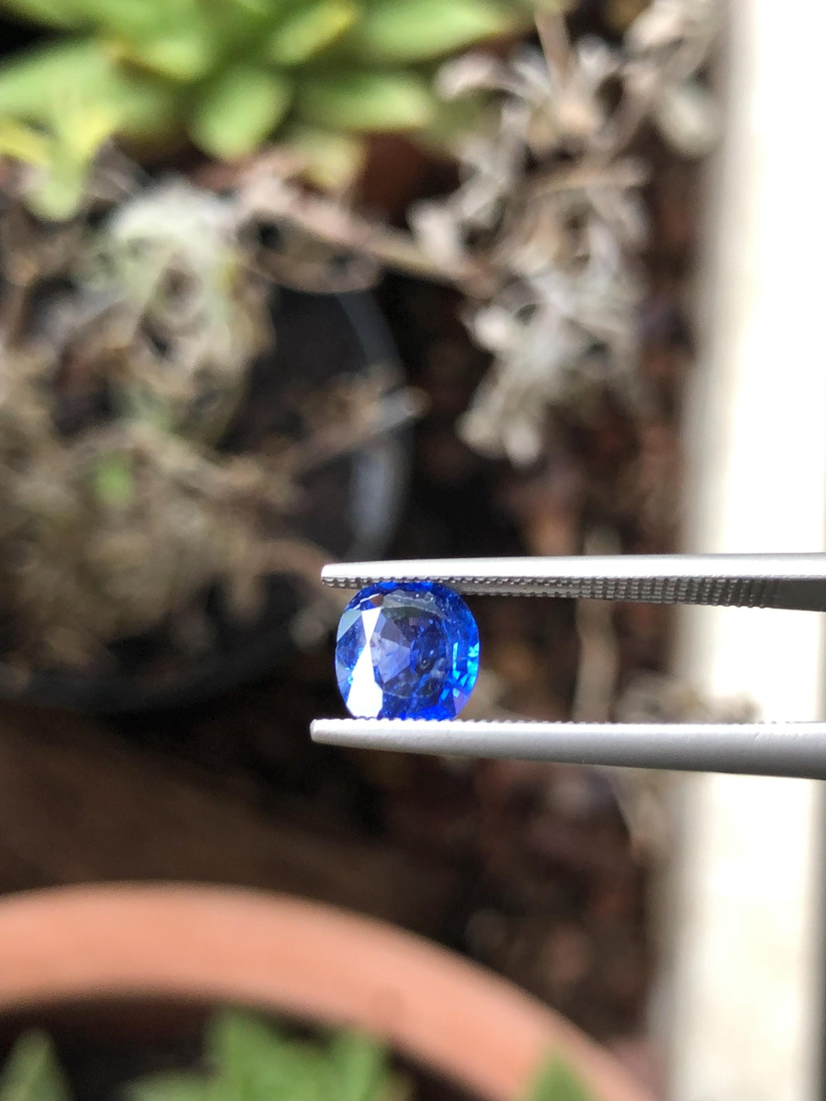 Natural Blue Sapphire 1.26 ct, Sri Lanka