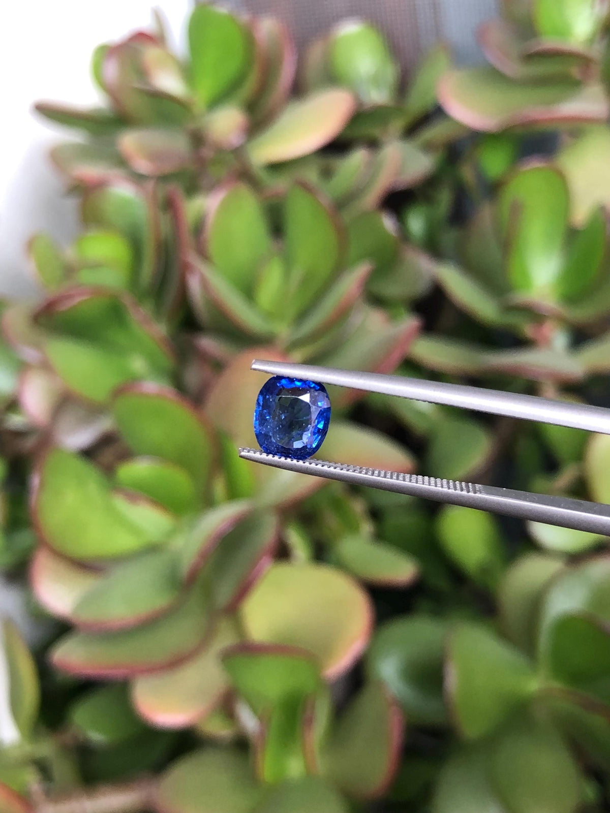 Natural Blue Sapphire 1.26 ct, Sri Lanka