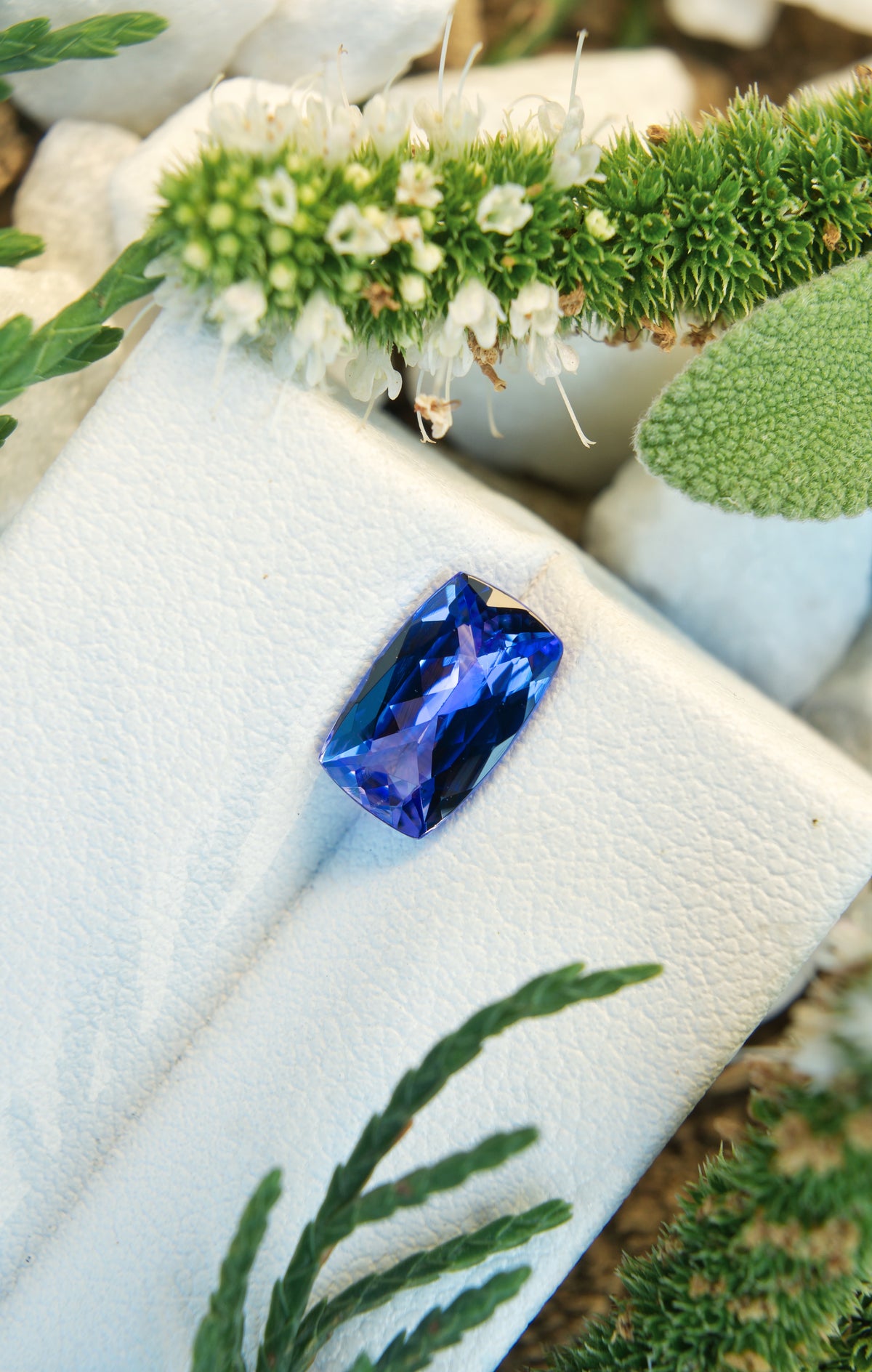 Tanzanite 1.44 Ct