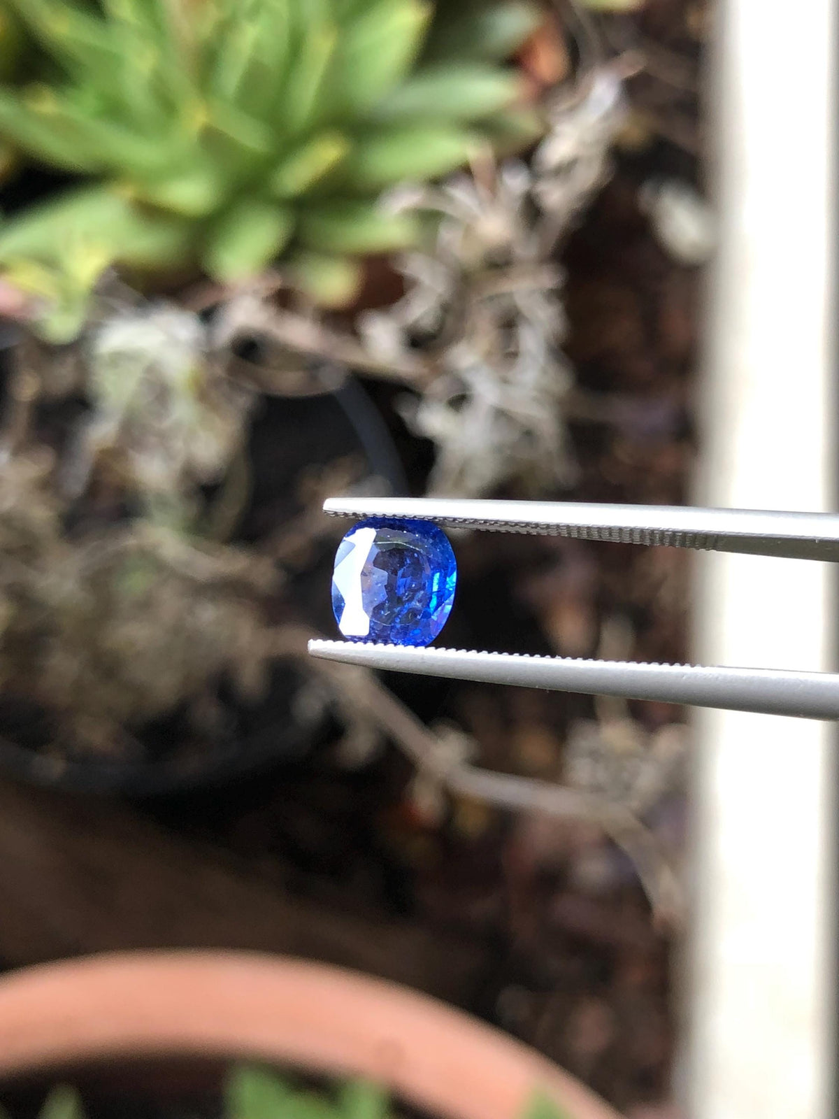 Natural Blue Sapphire 1.26 ct, Sri Lanka