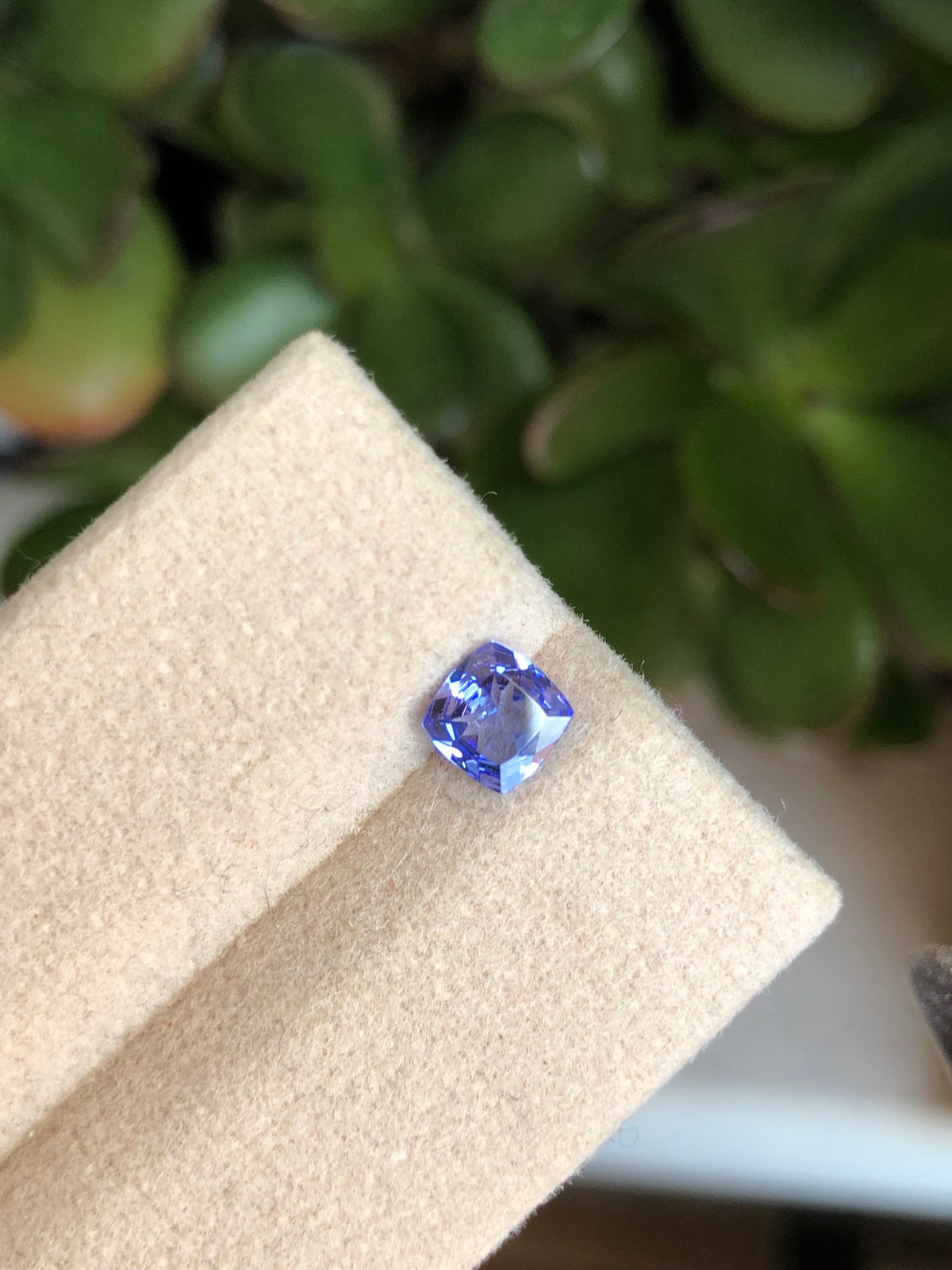 Tanzanite 0.52 Ct